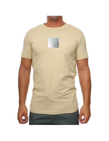 CALVIN KLEIN CAMISETAS J30J325686_BE BEIGE (M)